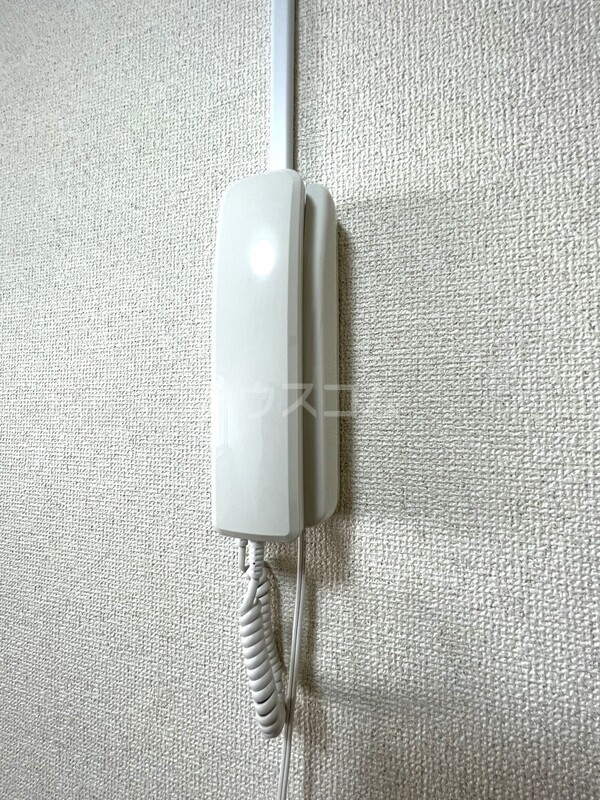 15/21 その他画像