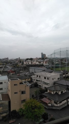 17/29 その他画像