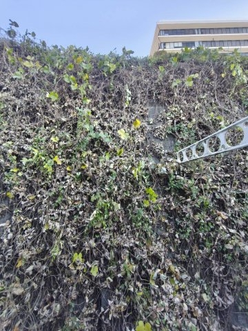 13/29 その他画像