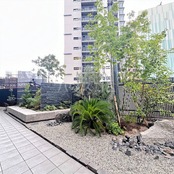 11/18 その他画像