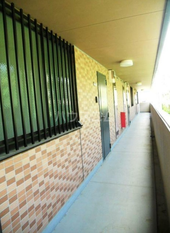 13/17 その他画像