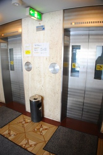 3/19 その他画像