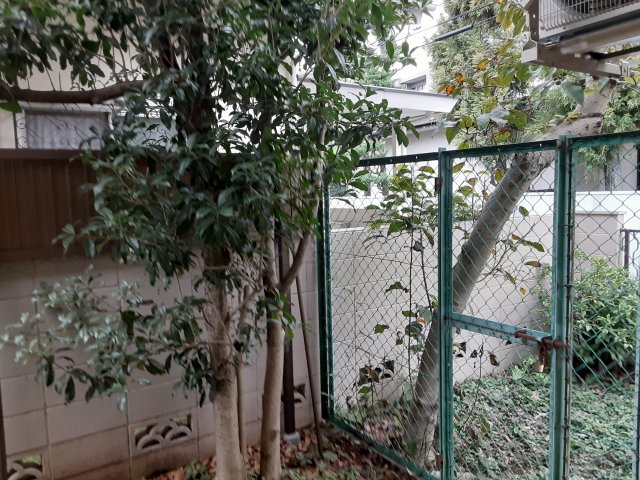 16/26 その他画像