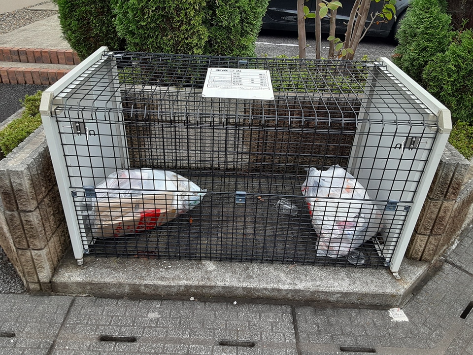 21/29 その他画像