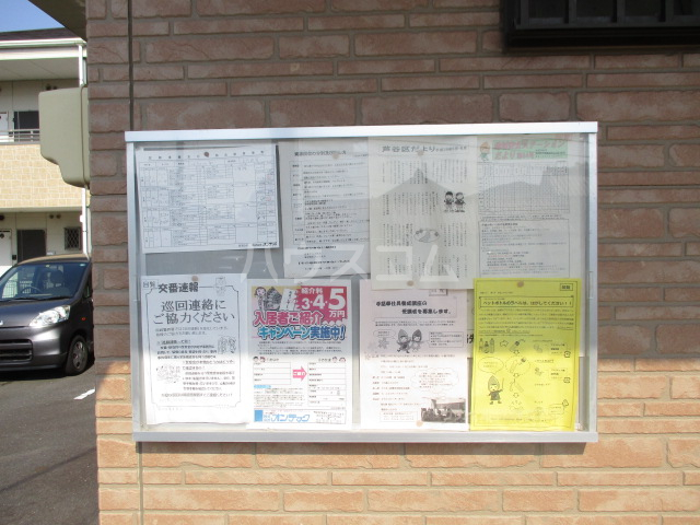 20/30 その他画像