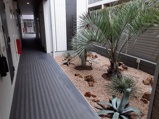 27/30 その他画像