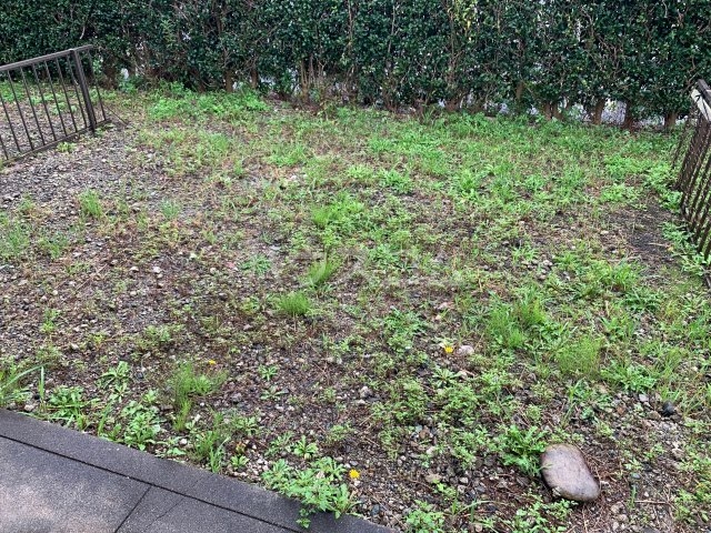 16/27 その他画像