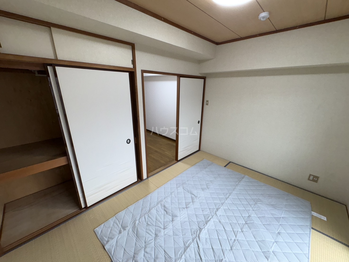 5/29 室内