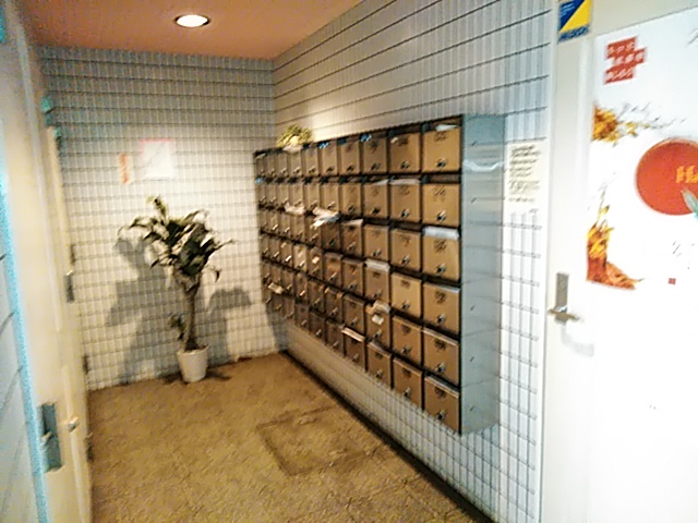 6/19 その他画像