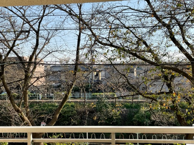 19/29 その他画像