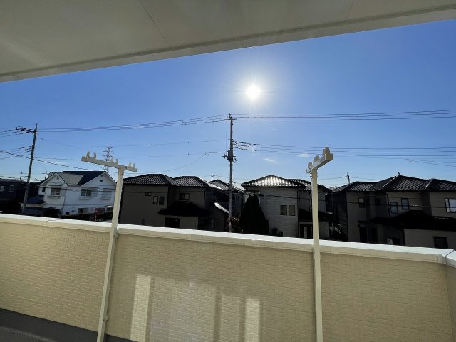 20/30 その他画像