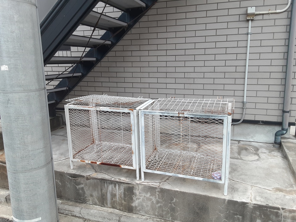 12/15 その他画像