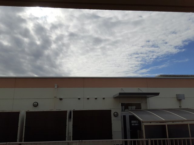 14/29 その他画像