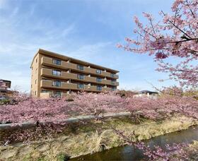 15/19 その他画像