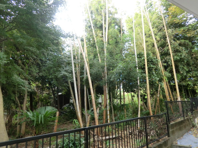 14/30 その他画像