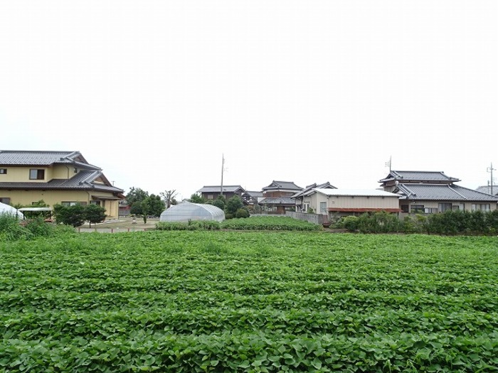 13/20 その他画像