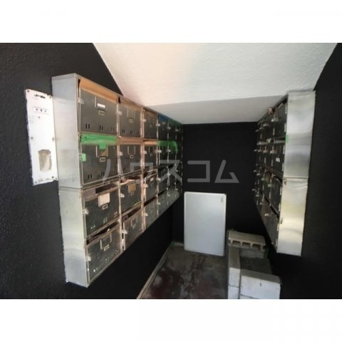 20/30 その他画像