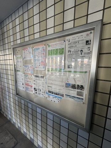 25/28 その他画像