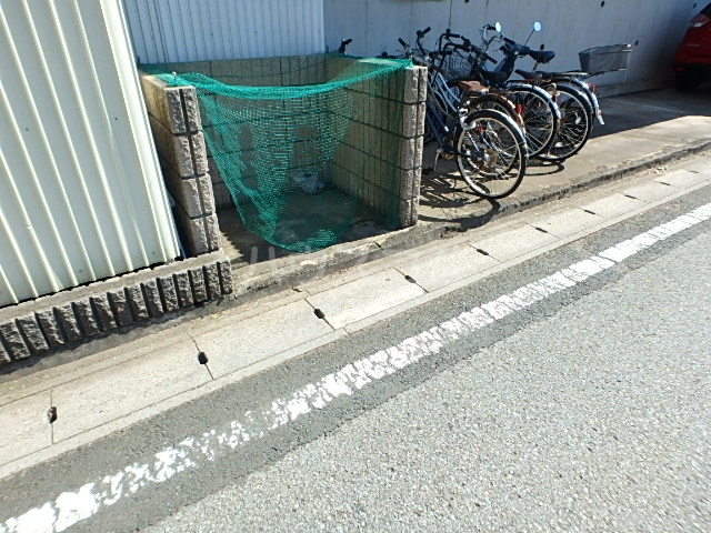 20/30 その他画像