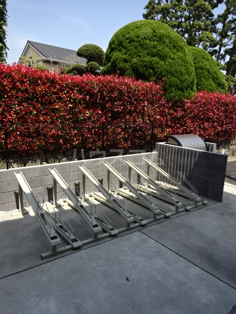 19/21 その他画像