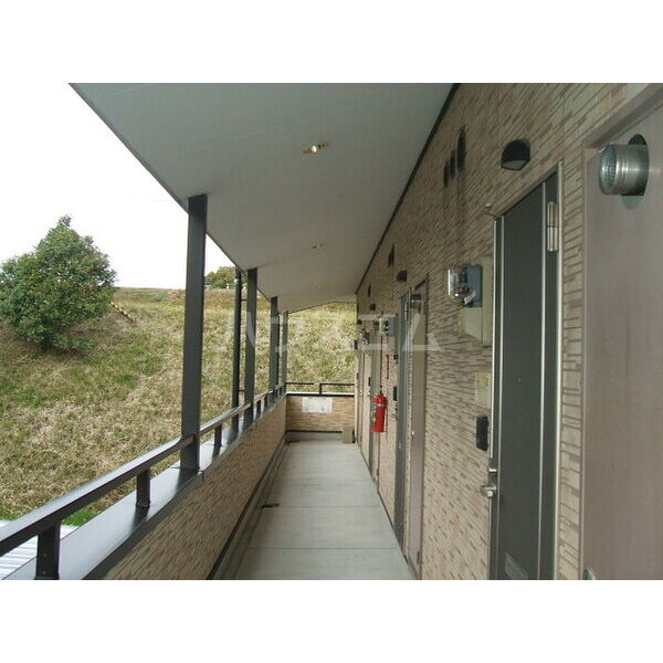 11/21 その他画像