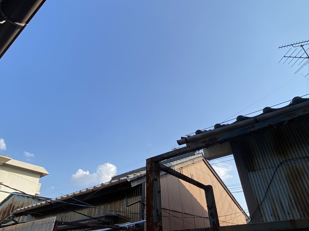 17/29 その他画像