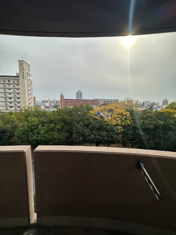 15/21 その他画像