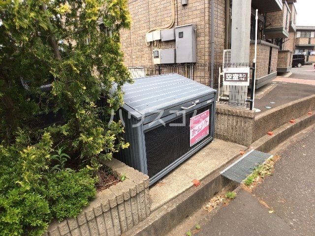 17/23 その他画像