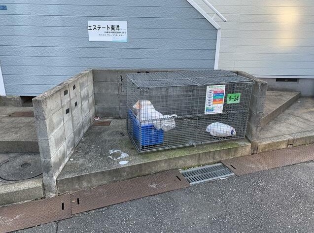 8/10 その他画像