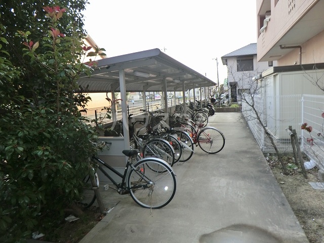 15/29 その他画像