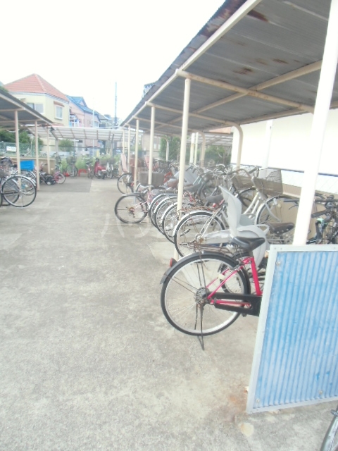 20/30 その他画像