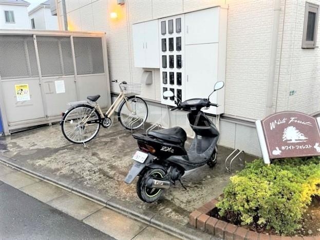 その他画像