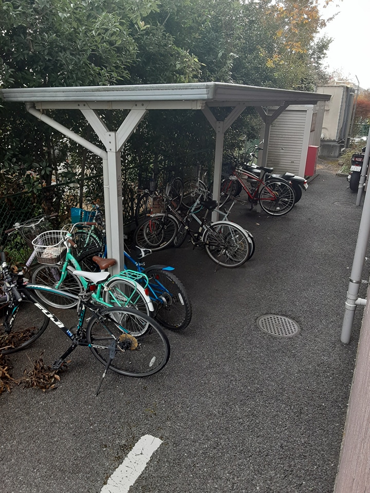 20/30 その他画像