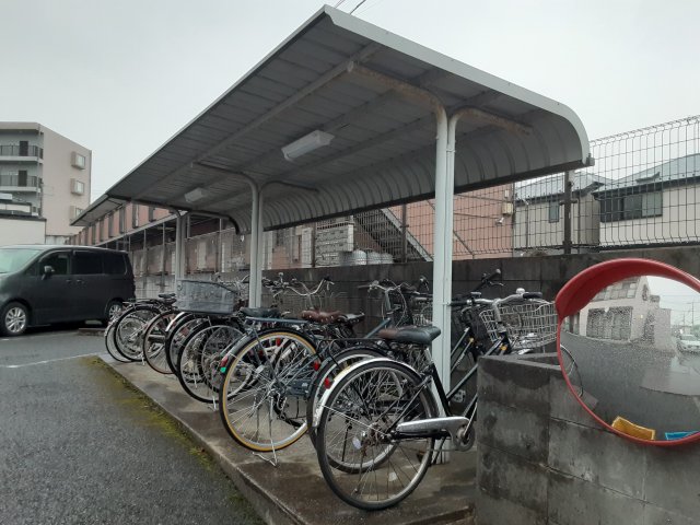 20/30 その他画像