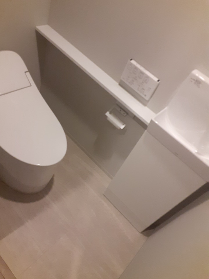 11/28 トイレ