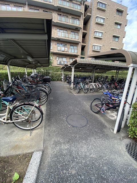 20/30 その他画像