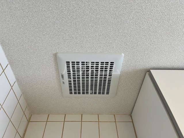 21/24 その他画像