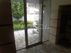 17/30 その他画像