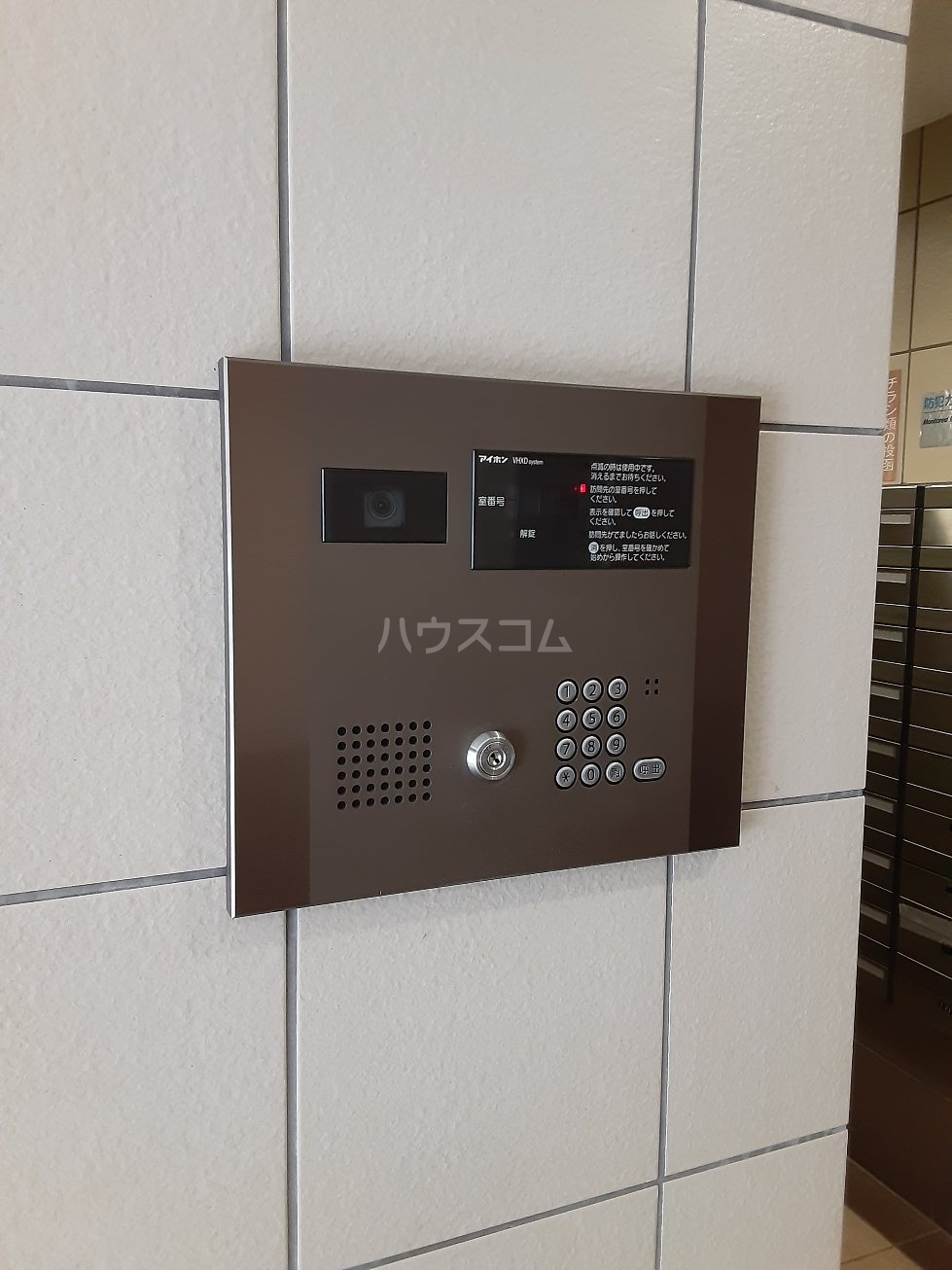 20/30 その他画像