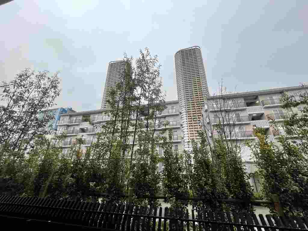 16/30 その他画像