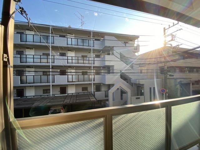 15/29 その他画像