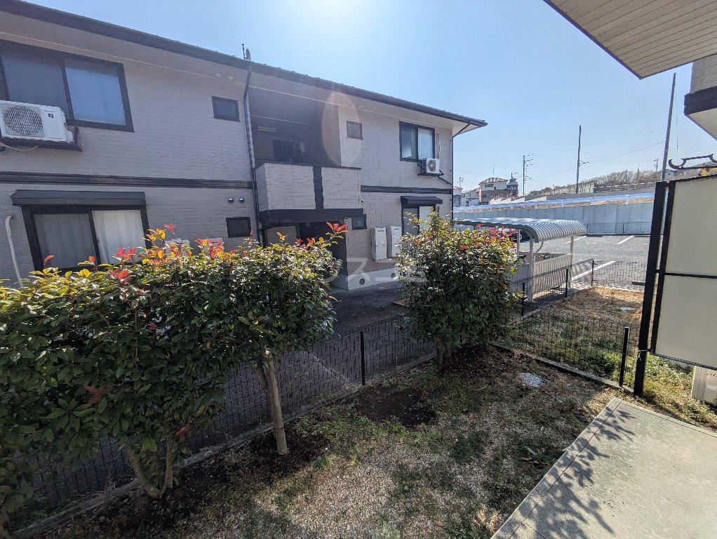 20/30 その他画像