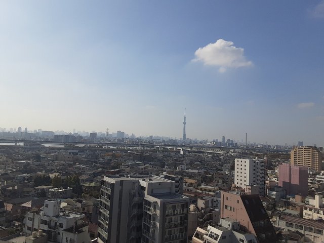 20/30 その他画像