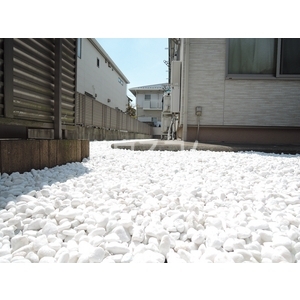 13/22 その他画像