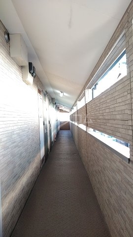 17/29 その他画像