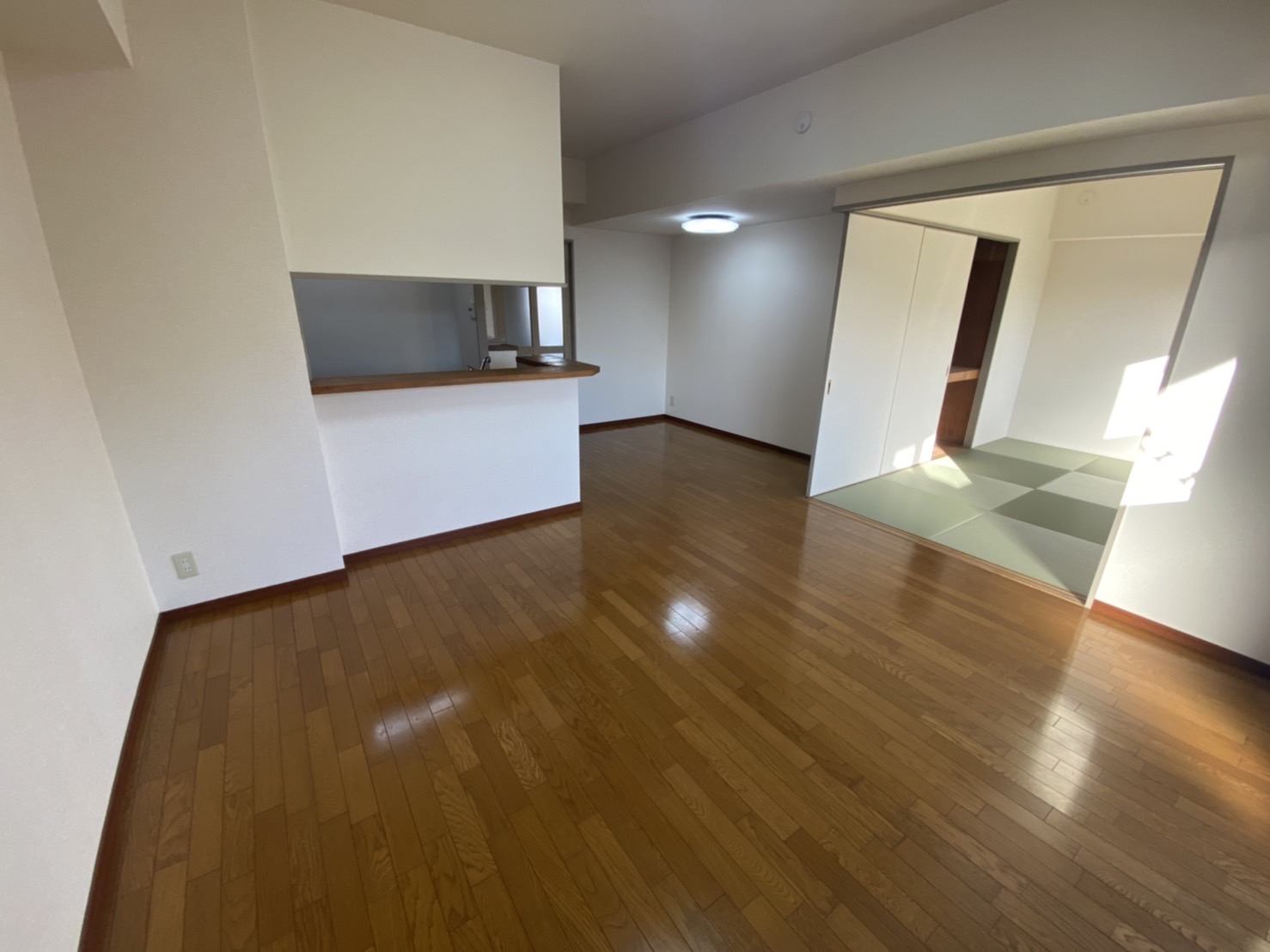 リビング/ダイニング