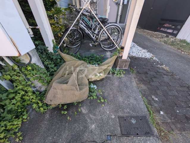 20/30 その他画像