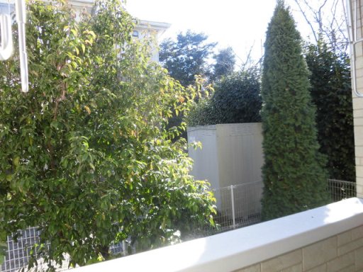 19/30 その他画像