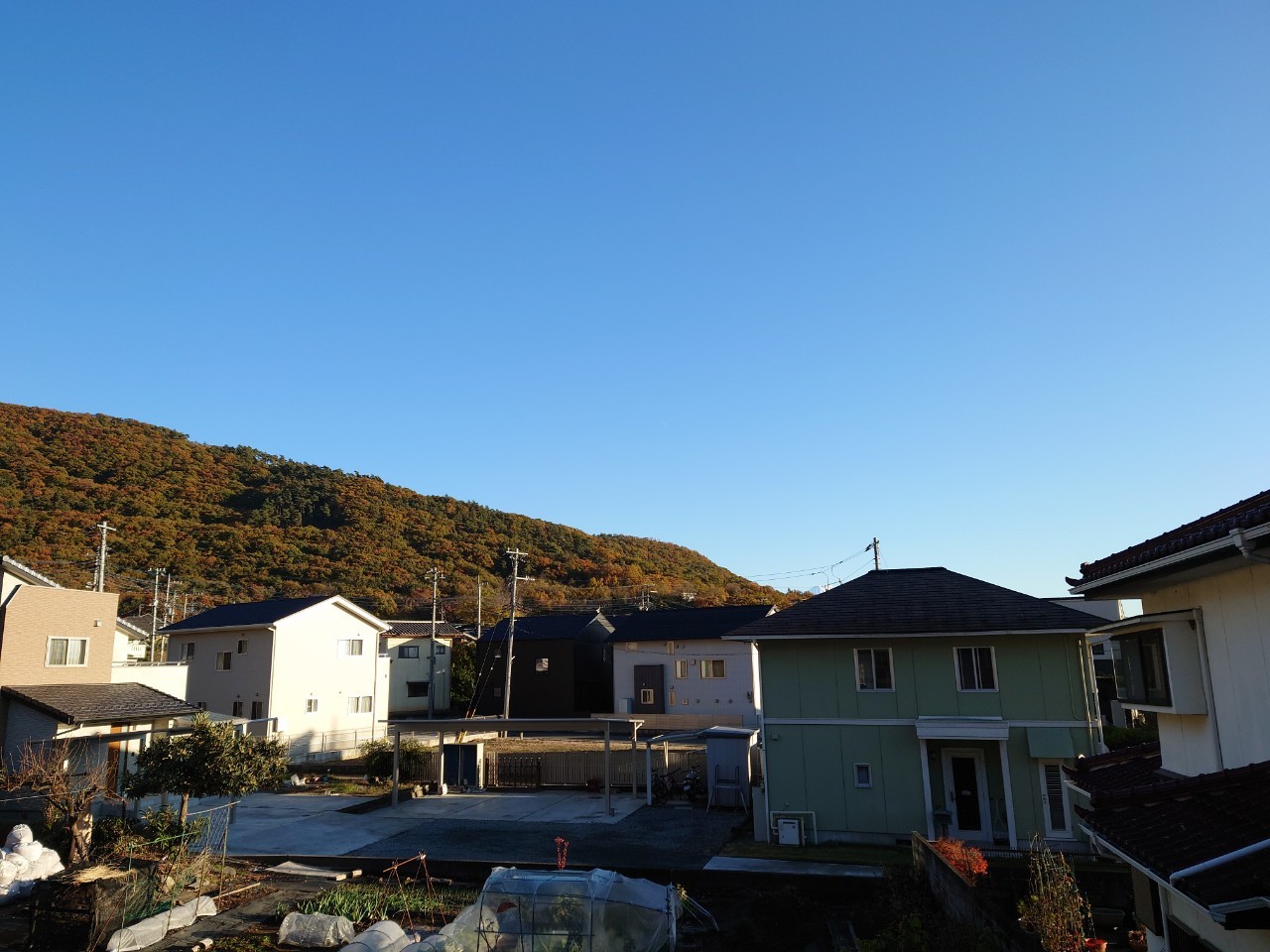 17/28 その他画像