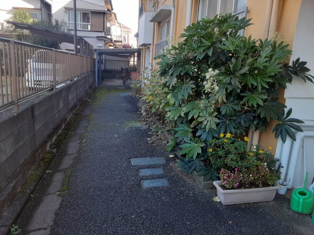 27/30 その他画像